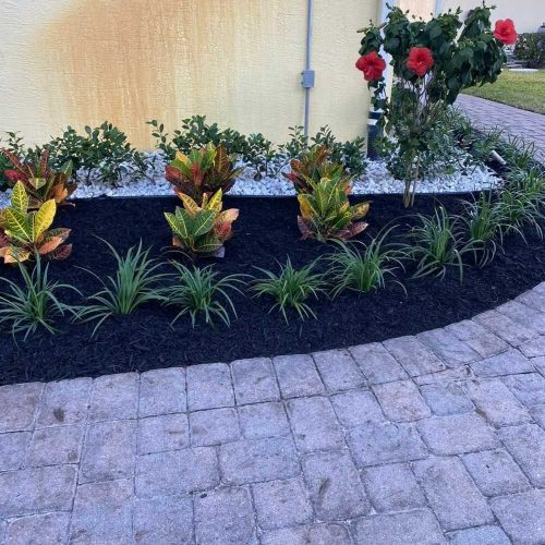 Professional Landscape Design Services in Jupiter, FL - Evertree Service (11)