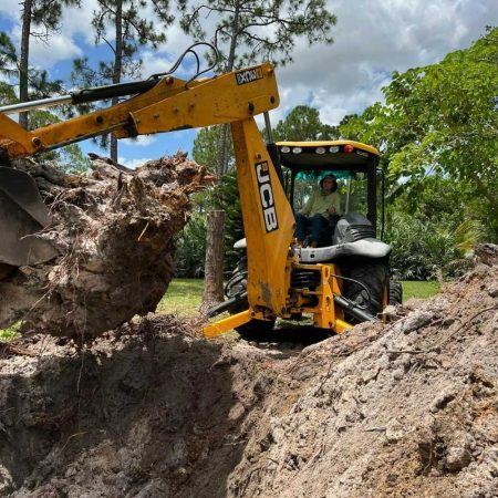 Professional Stump Grinding Services in Jupiter, FL - Evertree Service (3)